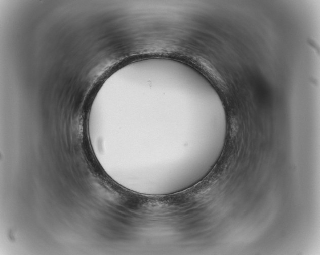 X0000096430632200801241339
