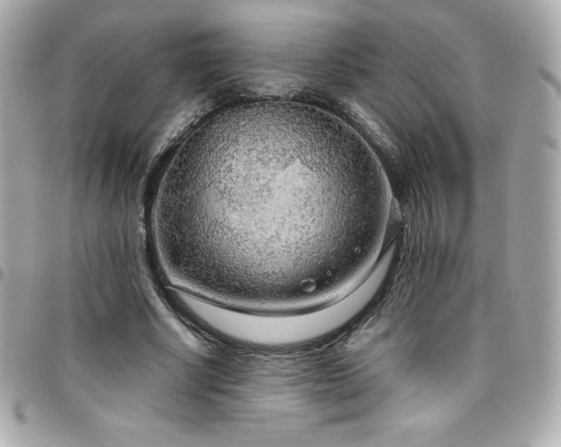 X0000096430634200801241339