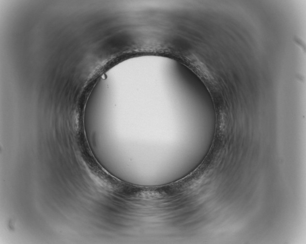 X0000096430636200801241339