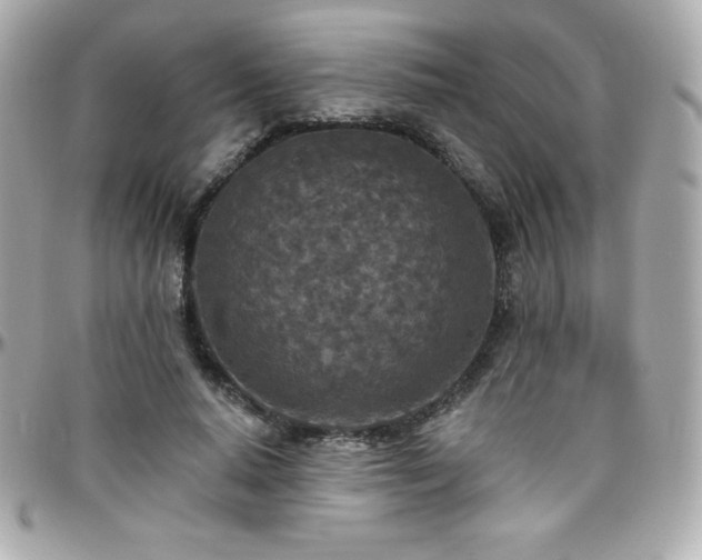 X0000096430640200801241339