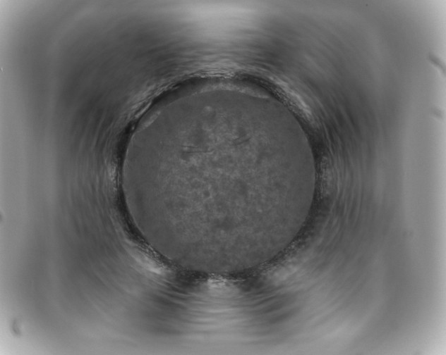 X0000096430641200801241339