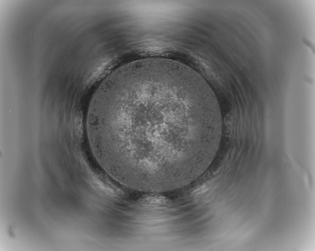 X0000096430642200801241339