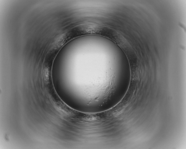 X0000096430646200801241339