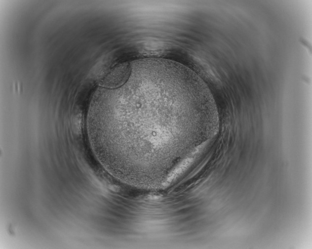 X0000096430647200801241339