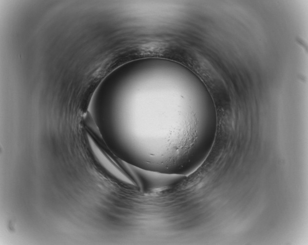 X0000096430649200801241339