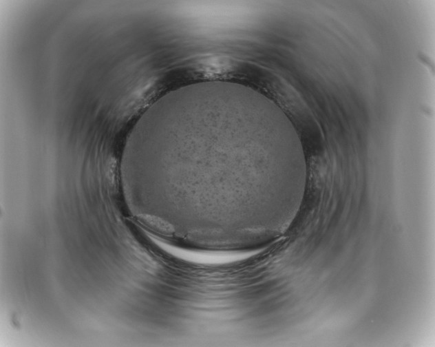 X0000096430650200801241339