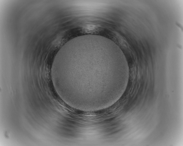 X0000096430653200801241339