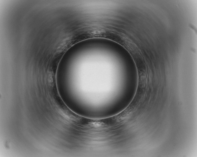 X0000096430654200801241339