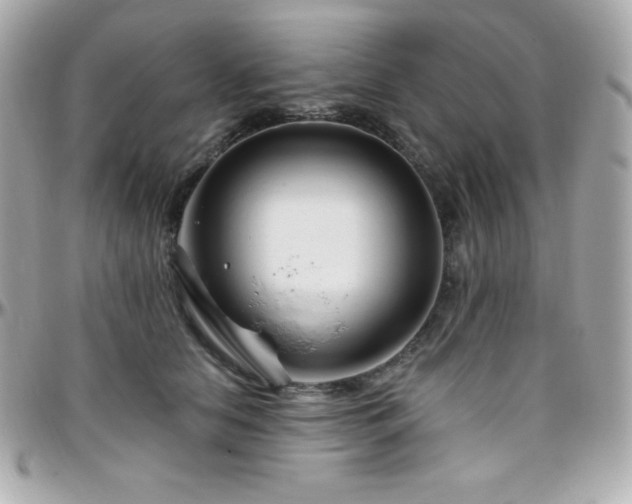 X0000096430658200801241339