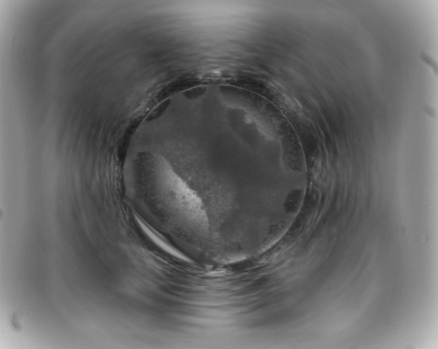 X0000096430659200801241339