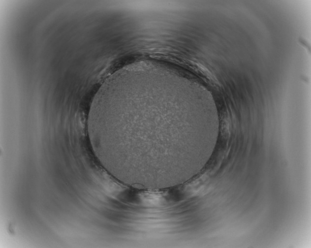 X0000096430661200801241339