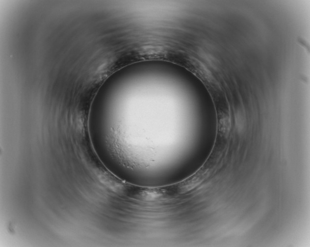 X0000096430662200801241339