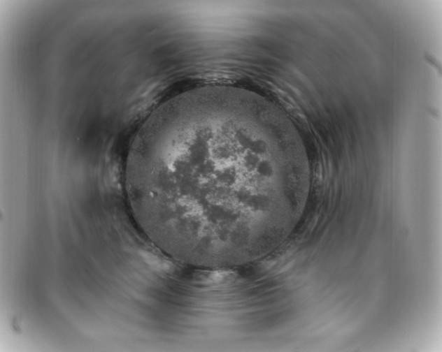 X0000096430663200801241339