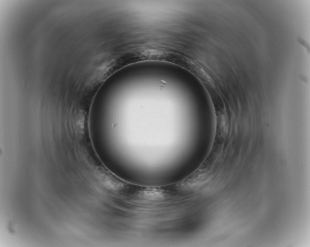 X0000096430668200801241339