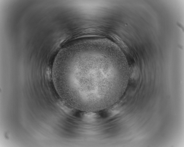 X0000096430669200801241339
