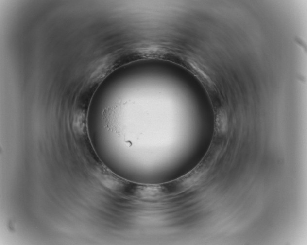 X0000096430671200801241339