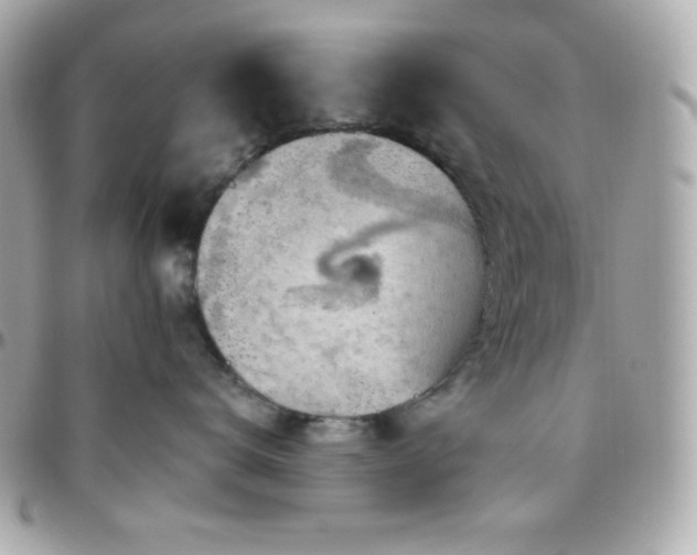 X0000096430672200801241339