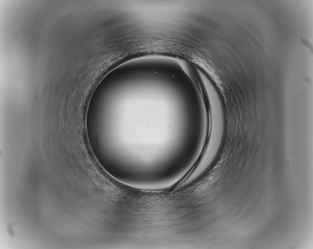 X0000096430673200801241339
