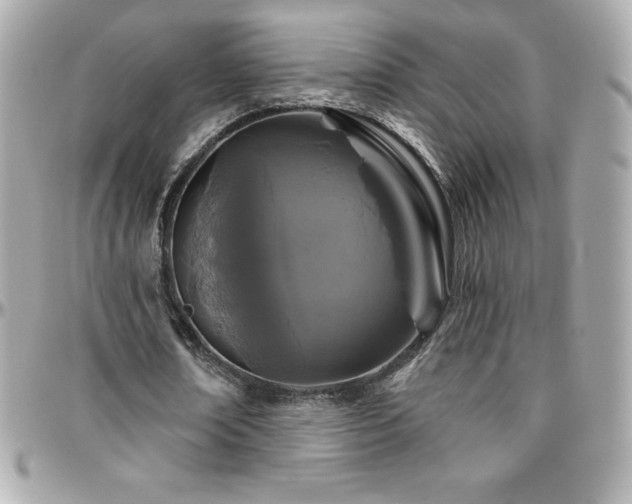 X0000096430674200801241339