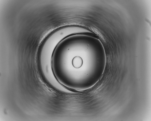 X0000096430676200801241339
