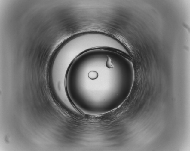 X0000096430680200801241339