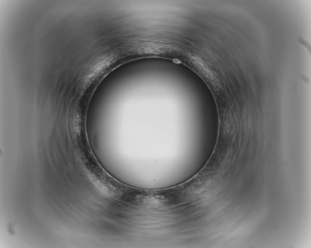 X0000096430683200801241339