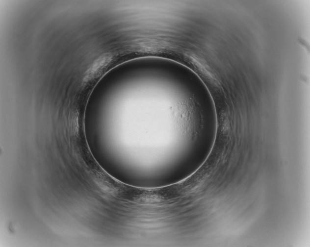 X0000096430685200801241339