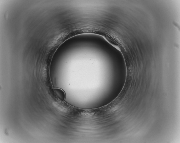 X0000096430690200801241339