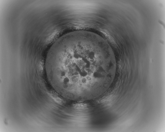 X0000096430691200801241339