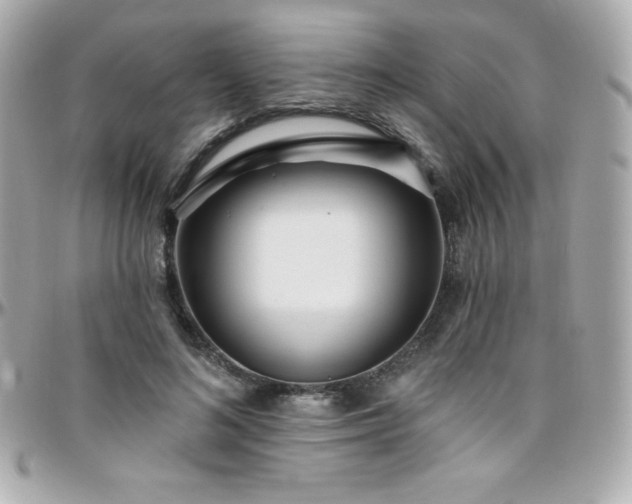 X0000096430692200801241339
