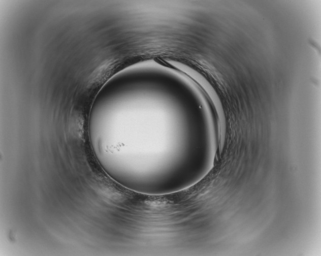 X0000096430693200801241339