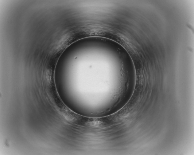 X0000096430695200801241339