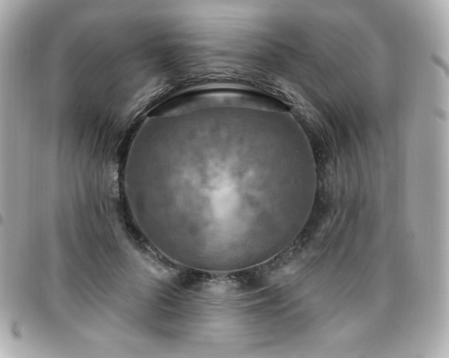 X0000096430696200801241339