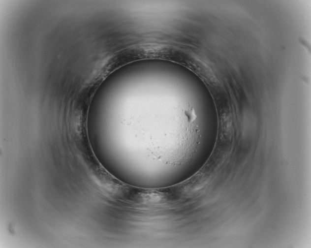 X0000096430698200801241338