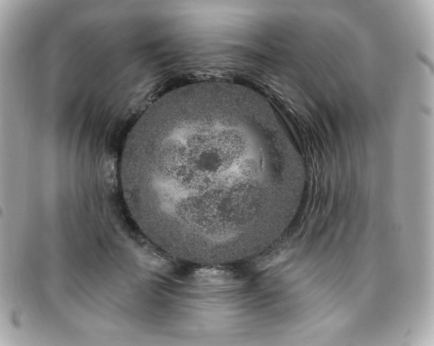 X0000096430699200801241338