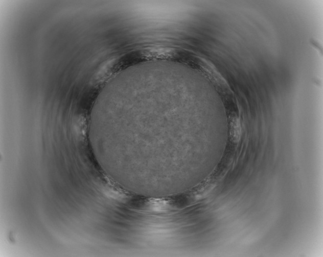 X0000096430701200801241338