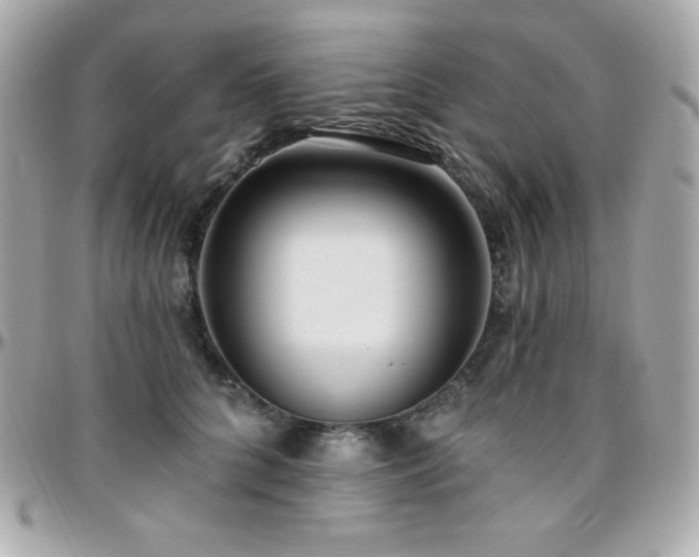 X0000096430704200801241338