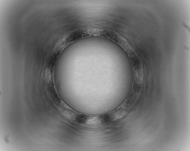 X0000096430705200801241338