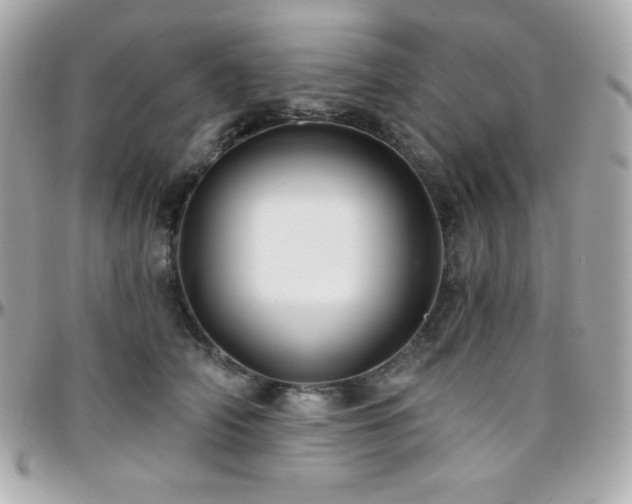 X0000096430706200801241338