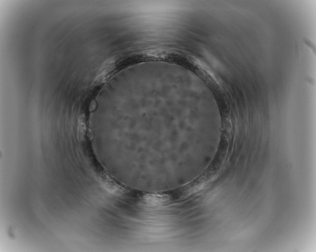 X0000096430707200801241338
