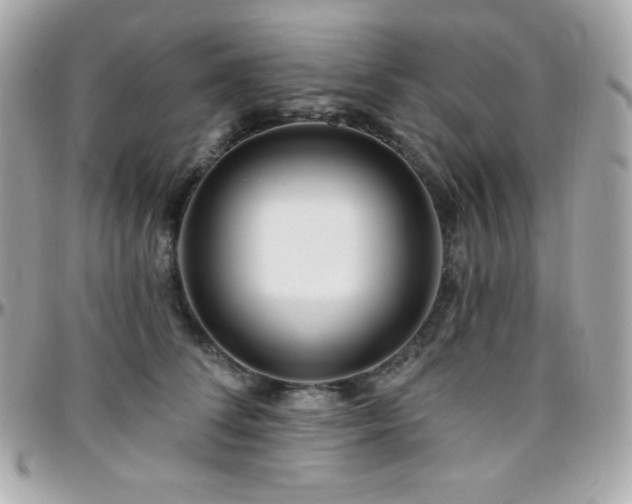 X0000096430708200801241338