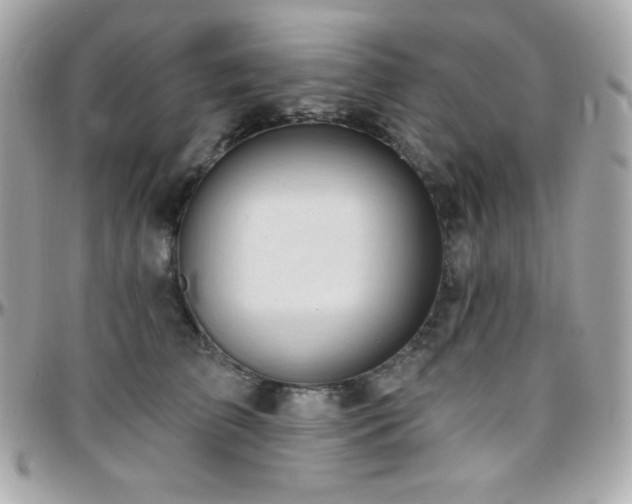 X0000096430709200801241338