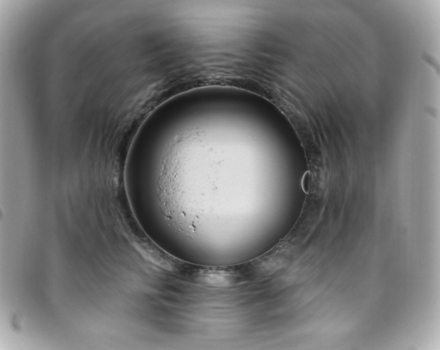 X0000096430710200801241338