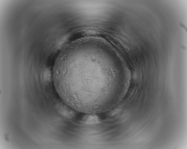 X0000096430715200801241338
