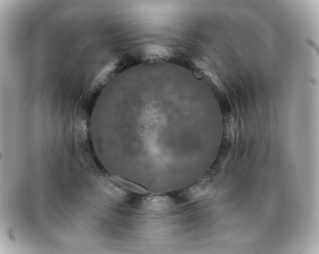 X0000096430716200801241338
