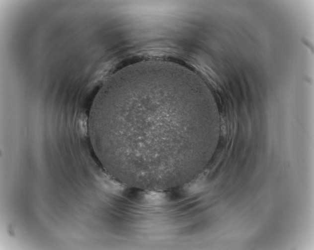 X0000096430718200801241338
