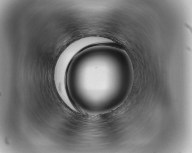 X0000096430720200801241338