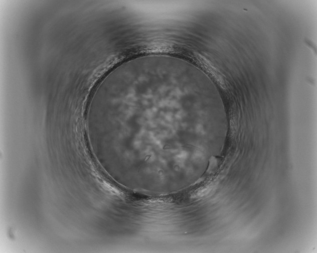 X0000096430721200801241338