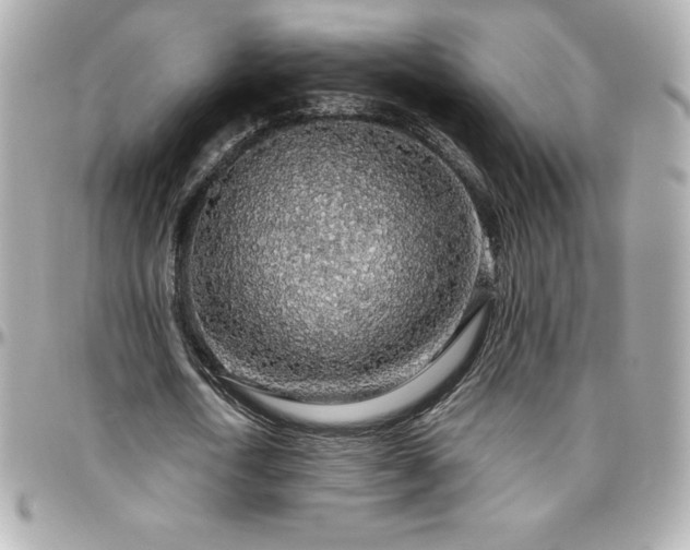 X0000096430722200801241338