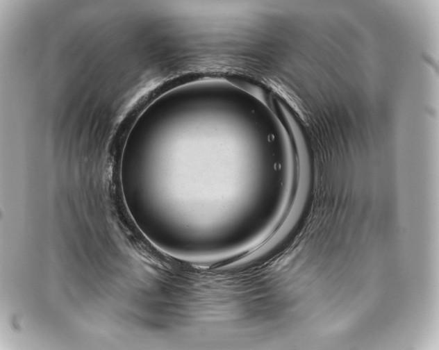 X0000096430723200801241338